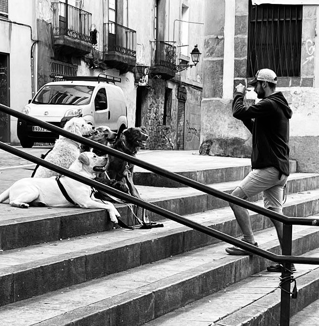 Who let the dogs out?
#streetphotography #barcelona #barcelonastreetphotography #blackandwhite #bwphotography #bw #dogsofinstagram #dogs #doglife #cityphotography